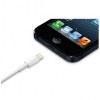 Apple Lightning to USB Cable 1m. - оригинален USB кабел за iPhone, iPad и iPod (1 метър) (retail) 5