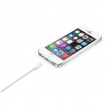 Apple Lightning to USB Cable 0.5m. - оригинален USB кабел за iPhone, iPad и iPod (0.5м.) (bulk) 3