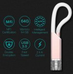 Devia Explorer MFI USB 3.0 Lightning Drive 64GB - външна памет USB 3.0 за iPhone, iPad, iPod с Lightning (64GB) (розово злато) 1