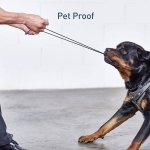 Nonda ZUS 90 USB-C Kevlar Cable - USB-C към USB кабел с оплетка от кевлар за устройства с USB-C порт 4