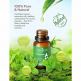 TaoTronics Aromatherapy Essential Oil Top 6 10ml - комплект ароматерапевтични етерични масла (6 броя) 5