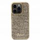 Guess PU Square Mirror Script Logo Leather Hard Case - дизайнерски кожен кейс за iPhone 15 Pro (златист) 2