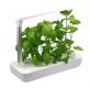 Platinet Vegebox Smart Garden 9 Planting Vacancy 21W  - уред за отглеждане на растения с LED лампа (бял) 2